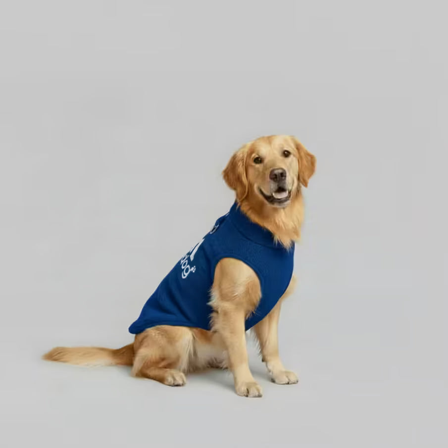 Dog Fleece Vest – Urban Icon