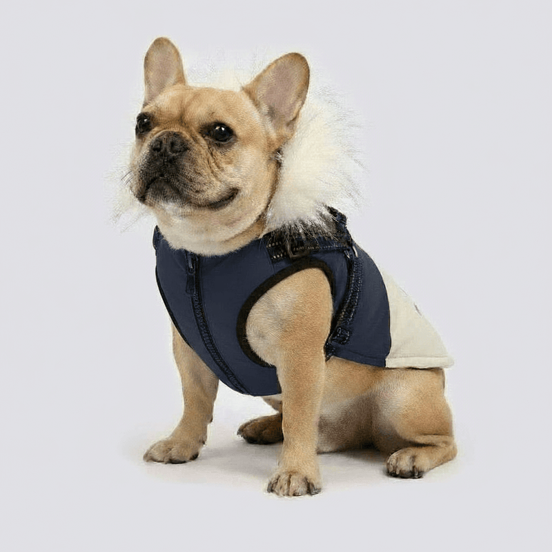 The SnuggleBear™ Premium Sherpa Hoodie | Ultimate Thermal Protection