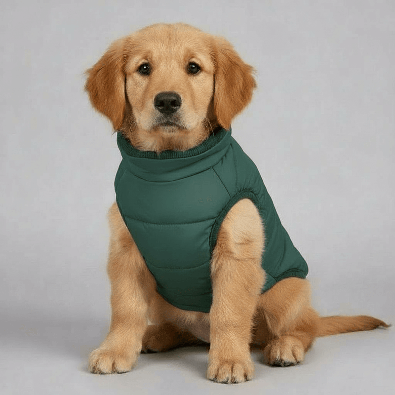 AlpineGuard™ Pro Thermal Jacket