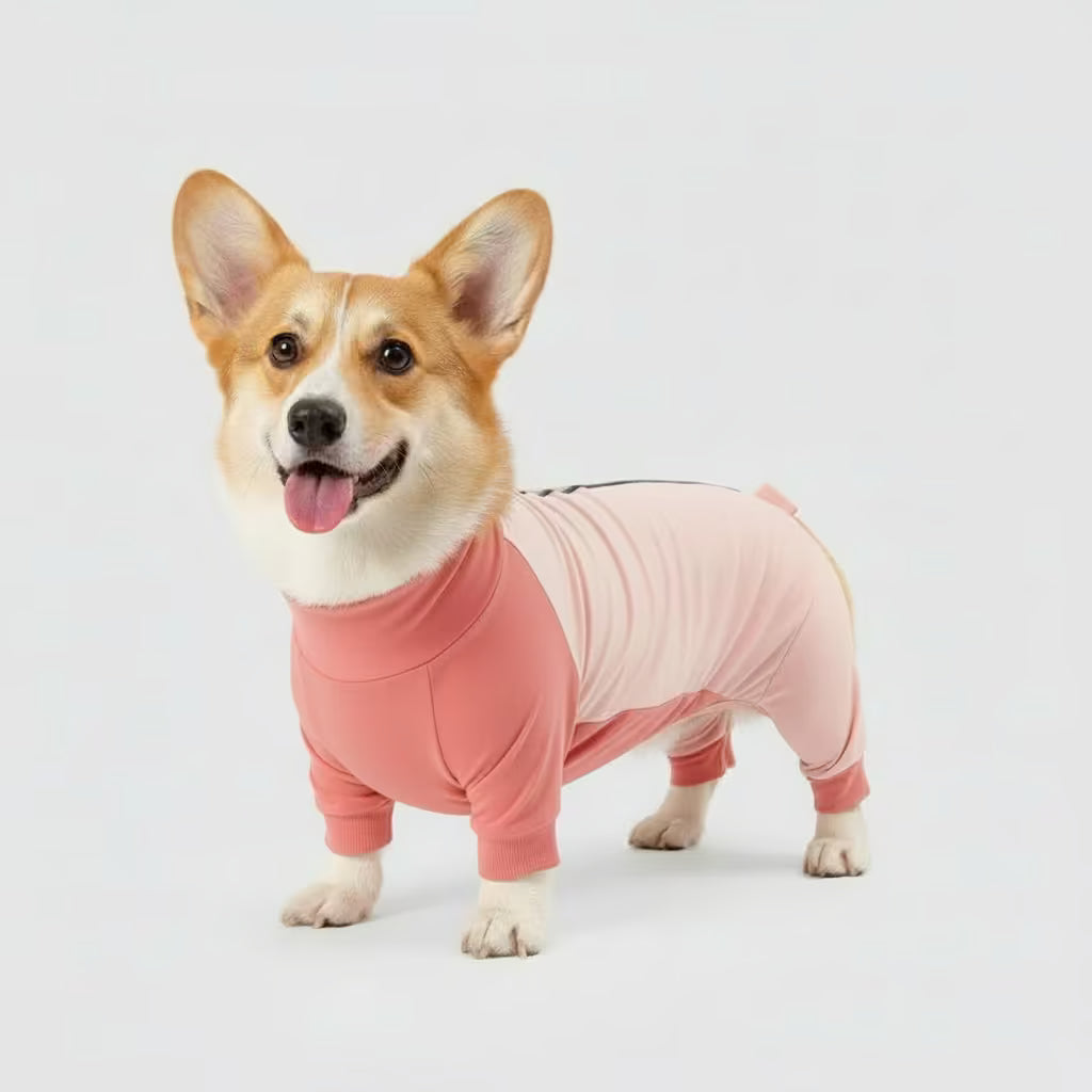 Premium ComfyRecovery™ Suit - The Stress-Free Alternative to the Cone of Shame