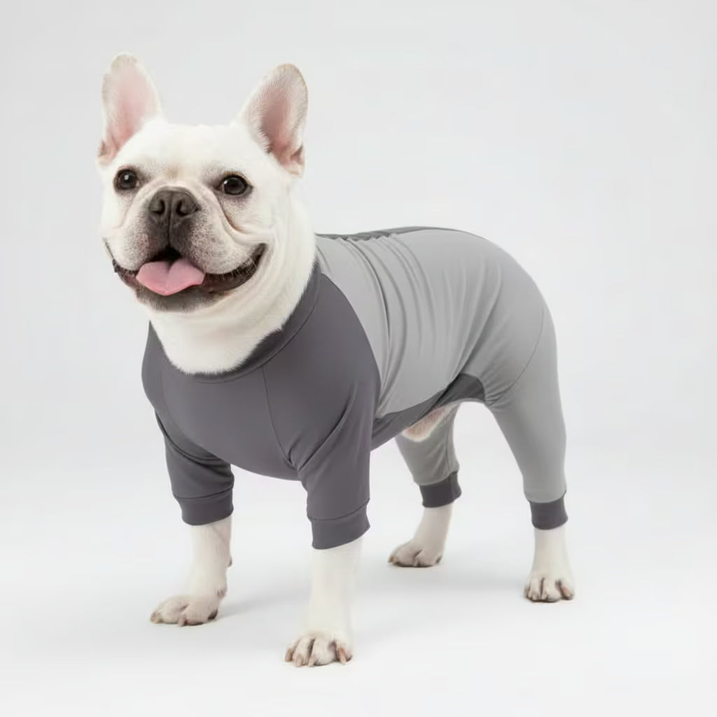 Premium ComfyRecovery™ Suit - The Stress-Free Alternative to the Cone of Shame