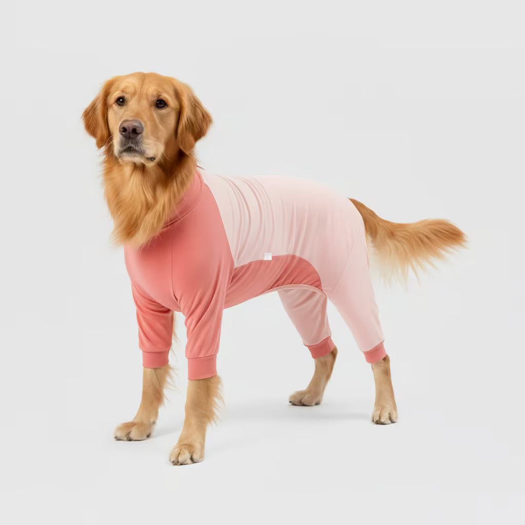 Premium ComfyRecovery™ Suit - The Stress-Free Alternative to the Cone of Shame